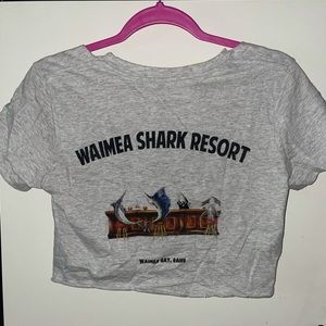 Brandy Melville Crop Top